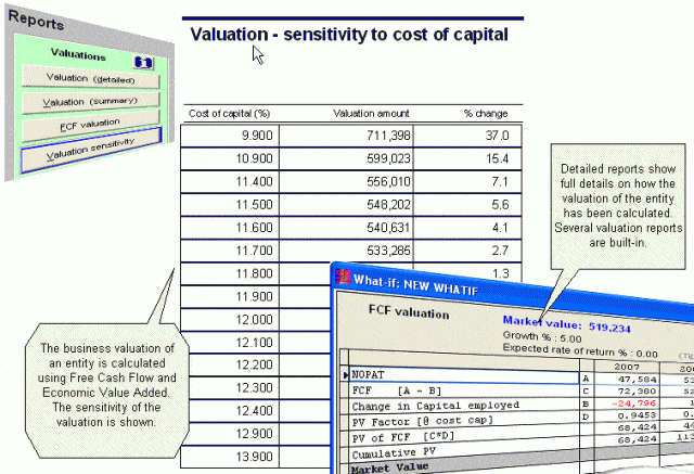 Business valuation software