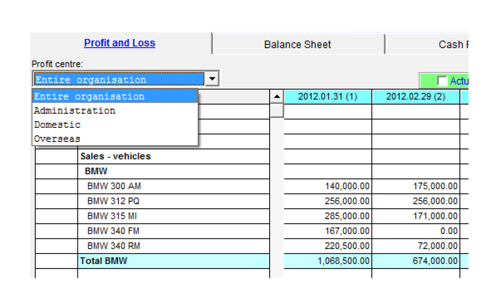 Create a departmental budget or budget by profit centers with Visual Cash Focus