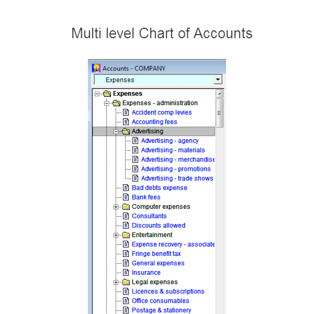 Budget chart of accounts permits multiple layers of folders and sub folders in Visual cash Focus