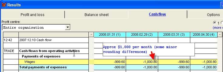 Budget cash flow for salary/wages